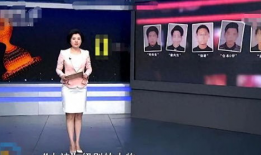 91内裤哥直播在线直播,揭秘网红内裤界的直播盛宴